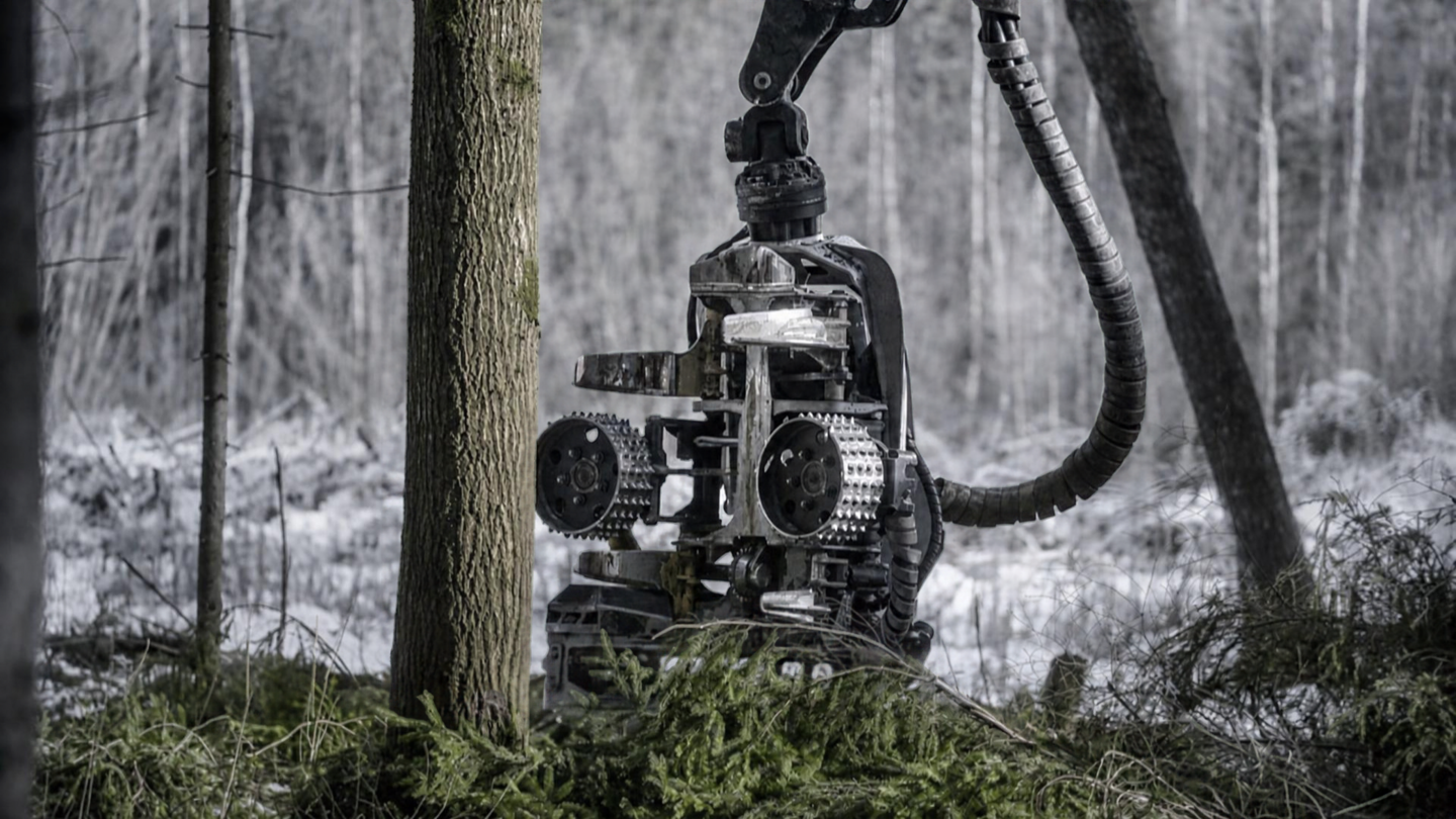Metsäkoneen harvesteripään kaltainen laite metsässä